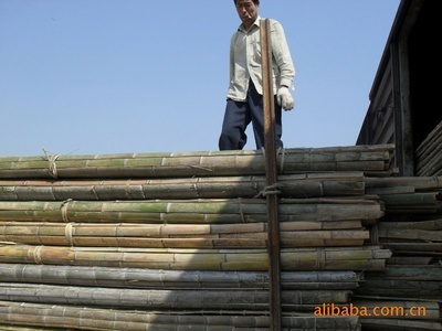 優質竹竿與竹子供應 文安縣永興竹品銷售處的林業產品全解析