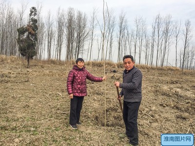 壽縣雙廟集鎮周崗現灣村民組崔世松林業開發合作社成立，推動林業產品銷售