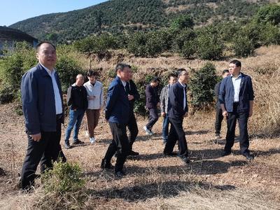 撫州市林業局推動林業產品銷售 綠色產業助力地方經濟