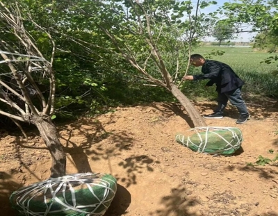 聞喜縣林業(yè)局強(qiáng)化春季綠化苗木調(diào)運(yùn)檢疫，保障林業(yè)產(chǎn)品銷(xiāo)售安全