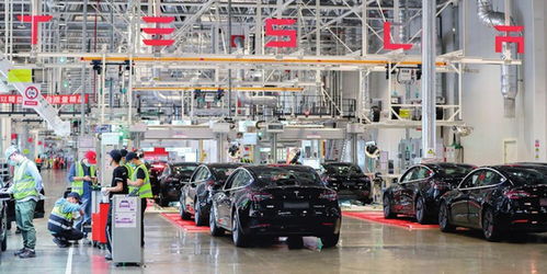 上海特斯拉超級工廠再創歷史紀錄 6月國內銷售激增138%，林業產品銷售亮點紛呈