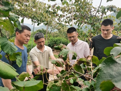 生態學院“品質農業科技服務團”——信息技術賦能麗水農業高質量發展