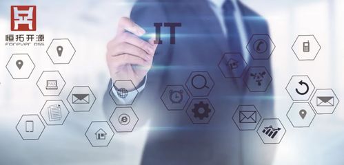 恒拓開源 卓越的軟件開發與信息技術服務引領者